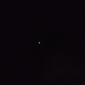 Meet your Posher, Mitzi